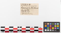 Etiketten zu Bronzegürtelringe (NHMW-PRAE-023817a)